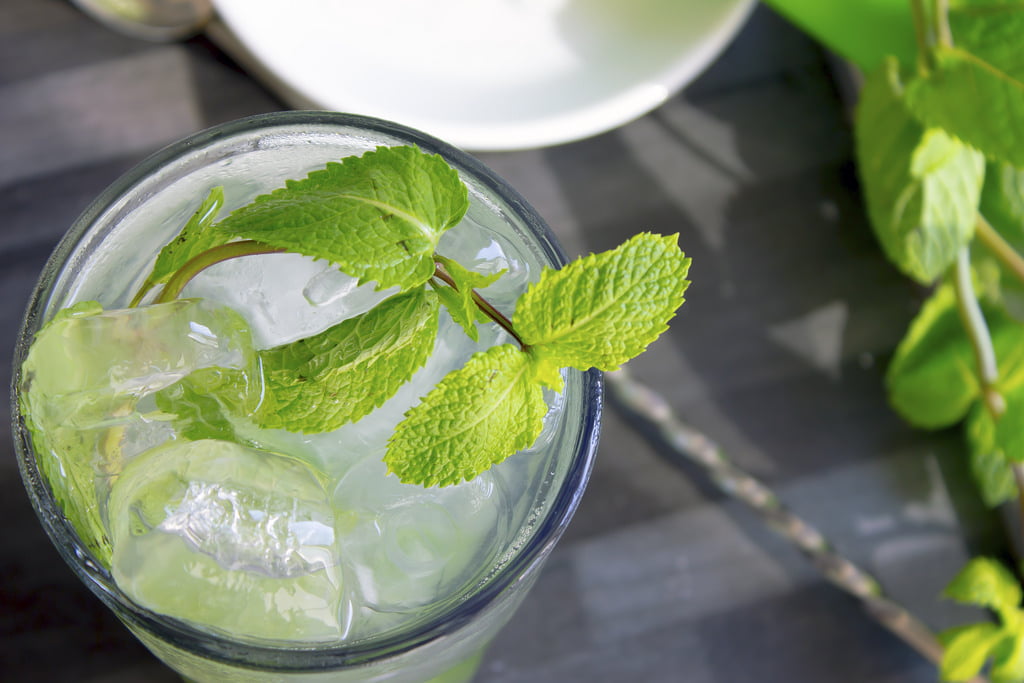 Mojito