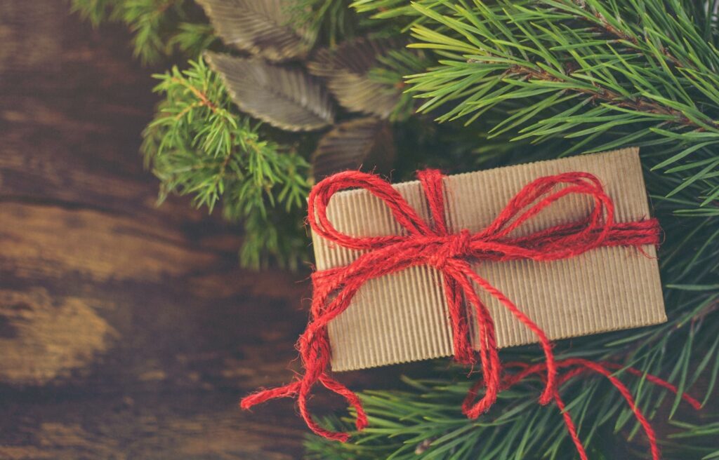 christmas present under the tree