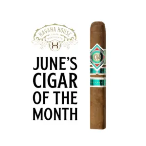 CAO Cameroon Box Pressed Robusto Cigar - Single [June’s Cigar of the Month]
